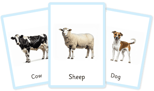 Farm animals flashcards