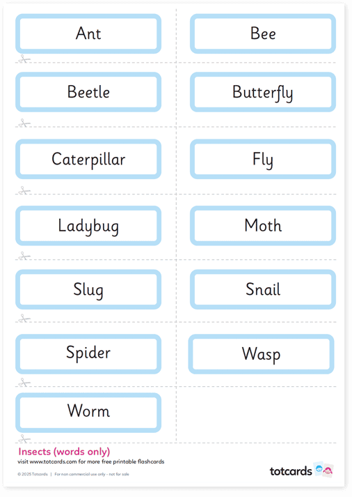Free Insects flashcards
