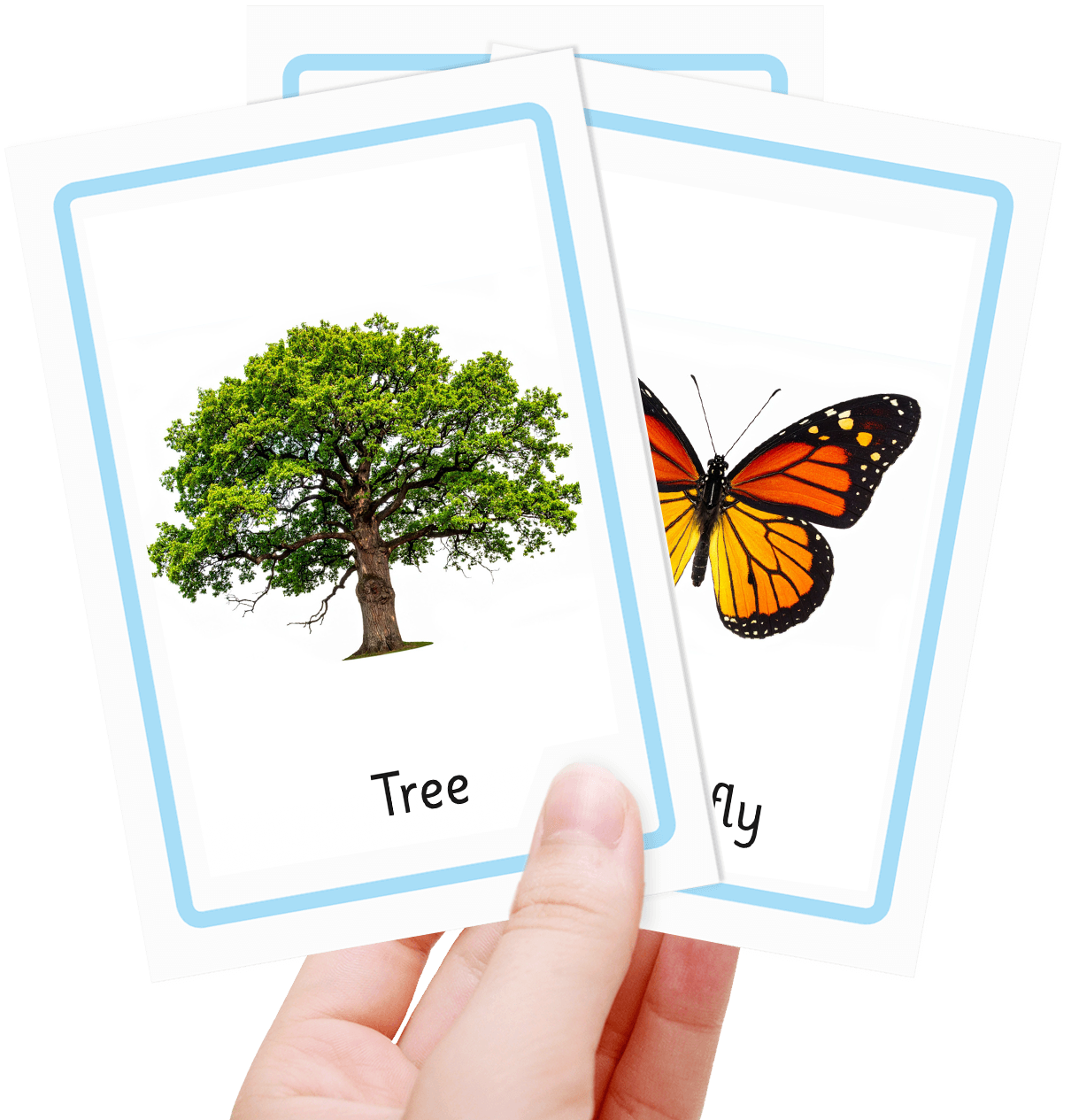 Free outside flash cards