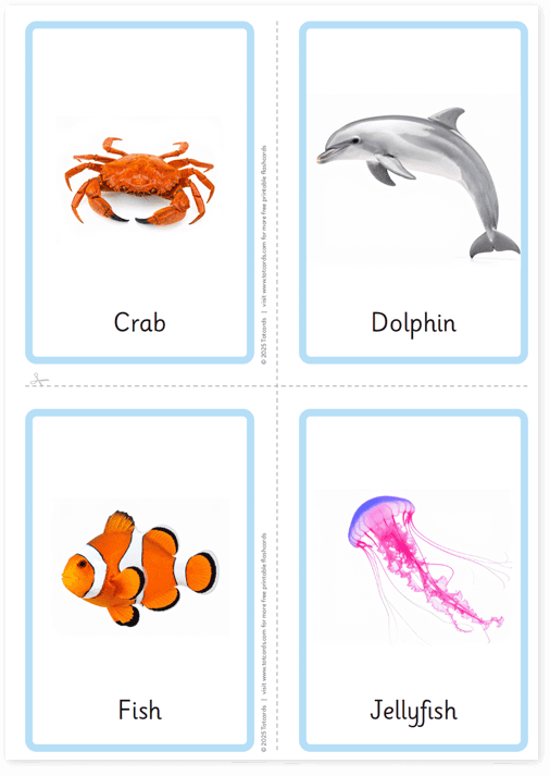 Free Under the sea flashcards