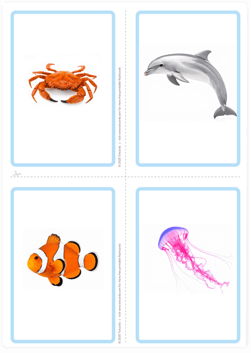 Free Under the sea flashcards