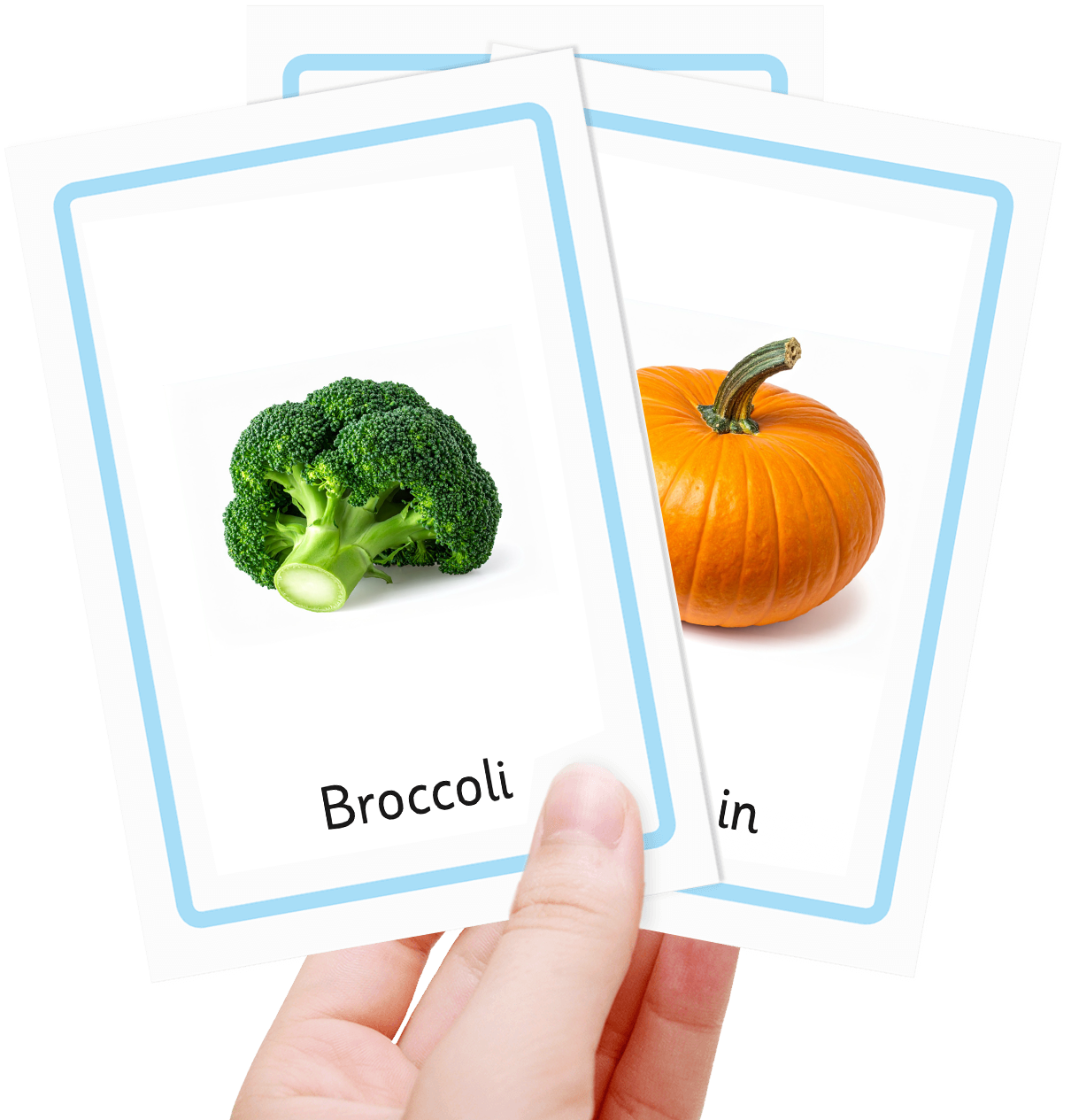 Free vegetables flash cards