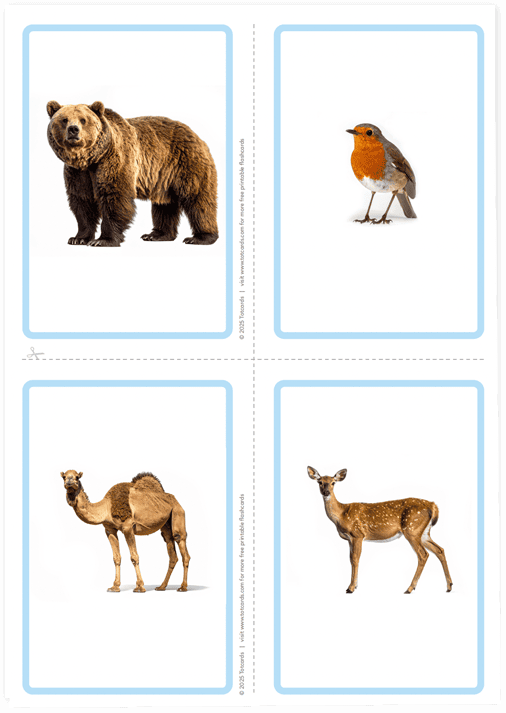 Free Wild animals flashcards