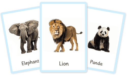 Wild animals flashcards
